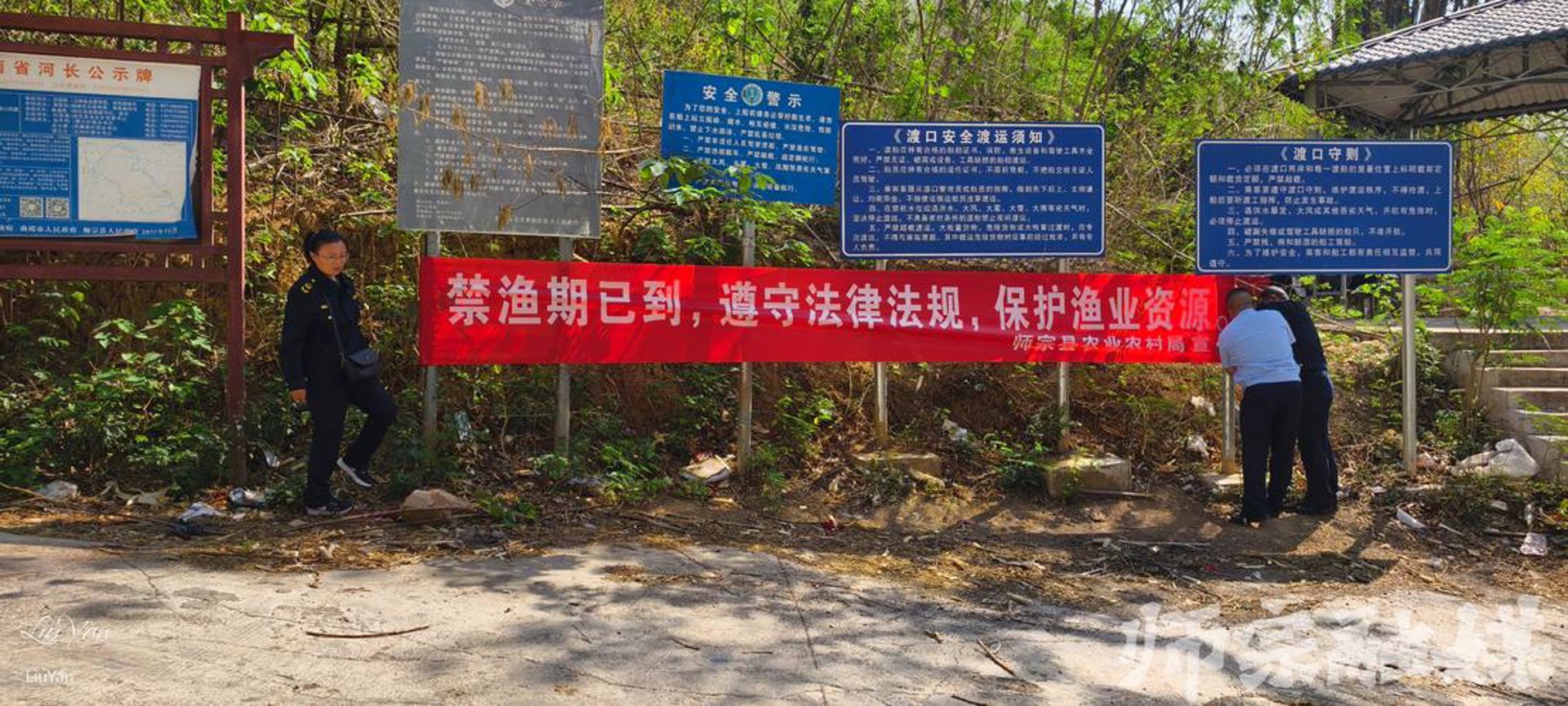 中山花木种植业的春天来了
